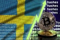 Sweden flag and rising green arrow on bitcoin mining screen and two physical golden bitcoins