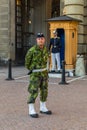 Swedish armed forces officer in camouflage uniform outside the R Royalty Free Stock Photo