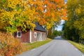 Swedish autumn contrasts Royalty Free Stock Photo