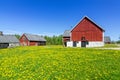 Swedish farm in sunny day Royalty Free Stock Photo