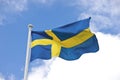 Swedish flag