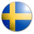 Swedish flag