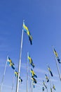 Swedish flags Royalty Free Stock Photo