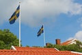 Swedish flags Royalty Free Stock Photo