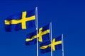 Swedish Flags in the Wind
