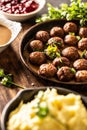 Swedish food Kottbullar meatballs, served in a pan with mashed potatoes, parsley and cranberry sauce Royalty Free Stock Photo