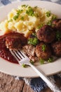 Swedish food: meatballs kottbullar, lingonberry sauce and mashed Royalty Free Stock Photo