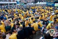 Swedish football fans on euro 2012 Royalty Free Stock Photo