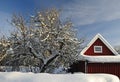 Swedish garden details in winter Royalty Free Stock Photo