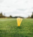 Swedish golf course at the end of the summer Royalty Free Stock Photo