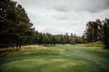 Swedish golf course at the end of the summer 2 Royalty Free Stock Photo