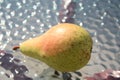 Swedish Greve Moltke pear