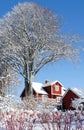 Swedish cottage in winter scenery Royalty Free Stock Photo
