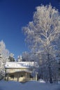 Swedish house at a sunny winter day Royalty Free Stock Photo