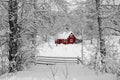 Swedish idyllic red house Royalty Free Stock Photo