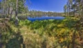 Swedish lake panorama Royalty Free Stock Photo
