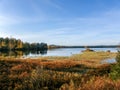 Swedish lake shoreline Royalty Free Stock Photo
