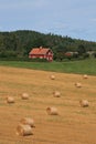 Swedish landscape Royalty Free Stock Photo