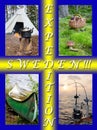 Swedish nature for active people - collage concept Royalty Free Stock Photo