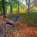 Swedish nature wooden bench