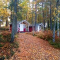 Swedish nature wooden houses