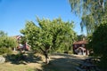 Swedish red and white traditional house in Smalland, White fence green garden blue sky