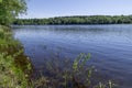 Swedish River with Forest