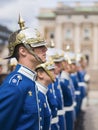 Swedish Royal Guard at the Royal Palace, vertical. Royalty Free Stock Photo