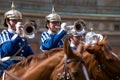 Swedish Royal Guard with traditional uniform Royalty Free Stock Photo