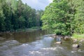 Swedish salmon area in summer Royalty Free Stock Photo