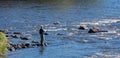 Swedish salmon area in summer Royalty Free Stock Photo