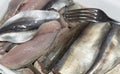 Swedish Sour Herring Royalty Free Stock Photo