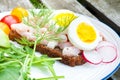 Swedish style rye bread open sandwich Royalty Free Stock Photo