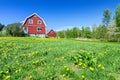 Swedish typical house in natural scenery Royalty Free Stock Photo