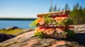 Swedish typical shrimp sandwich with vegetable in the open air. Generative AI