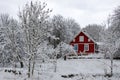 Swedish winter contrasts Royalty Free Stock Photo