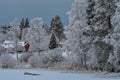 Swedish winter by the lake Royalty Free Stock Photo