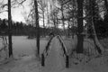 Swedish Winter Landscape In Black And White