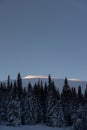 Swedish Winter Wonderland: Snowy Forest with Majestic Mountain at Sunrise