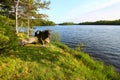 Sweeney Lake Landscape Wisconsin Royalty Free Stock Photo