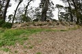 Sweeny Observatory Golden Gate Park San Francisco, 2.