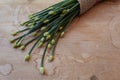 Sweep of budded chive leaves on old wooden table, copy space Royalty Free Stock Photo