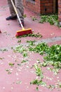 Sweep leaves on a sidewalk in city Royalty Free Stock Photo