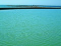 Sweeping Coral Shellfish Trap, Chipiona