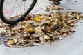 Sweeping dry fallen leaves, autumn sidewalk cleaning Royalty Free Stock Photo