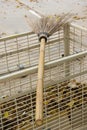 sweeping leaf form coconut stick broom Royalty Free Stock Photo