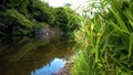 Sweeping panoramic view of the green bank of River Almond in Midlothian, Scotland