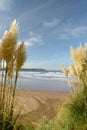 Woolacombe Bay on the Bristol Channel, North Devon