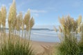 Woolacombe Bay on the Bristol Channel, North Devon