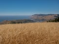 A sweeping view of the northern California coastline, long dried grass field and the ocean in the background against a bright blue